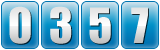 hits counter